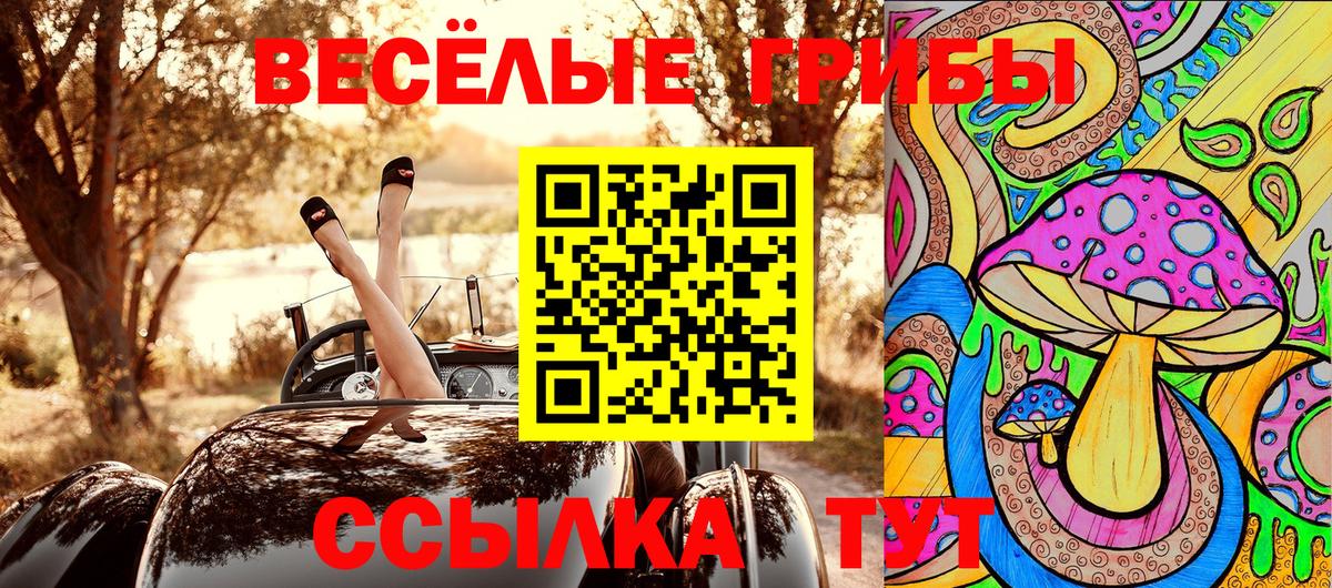 Михайловск  наркотики  Вход с VPN  Галлюциногенные грибы прущие грибы 
