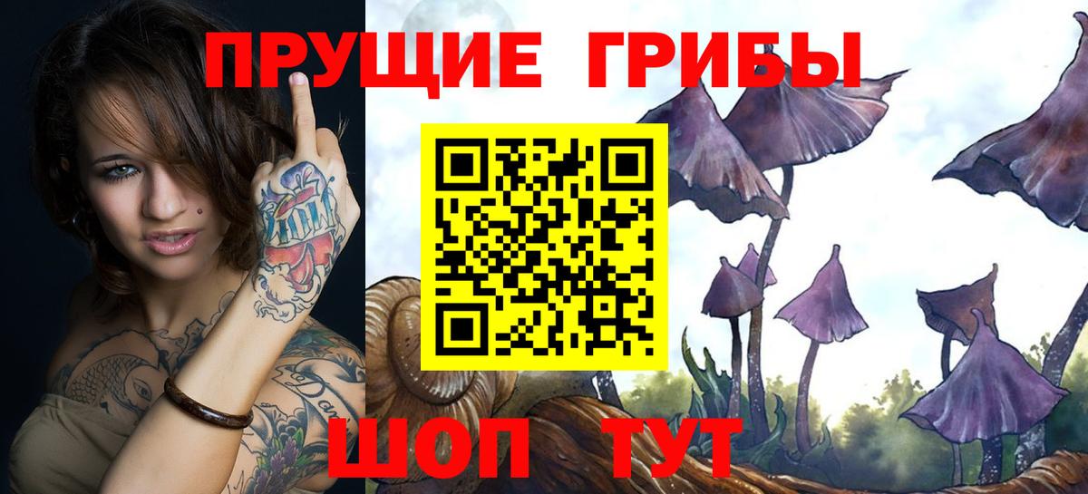 Псилоцибиновые грибы мухоморы Михайловск